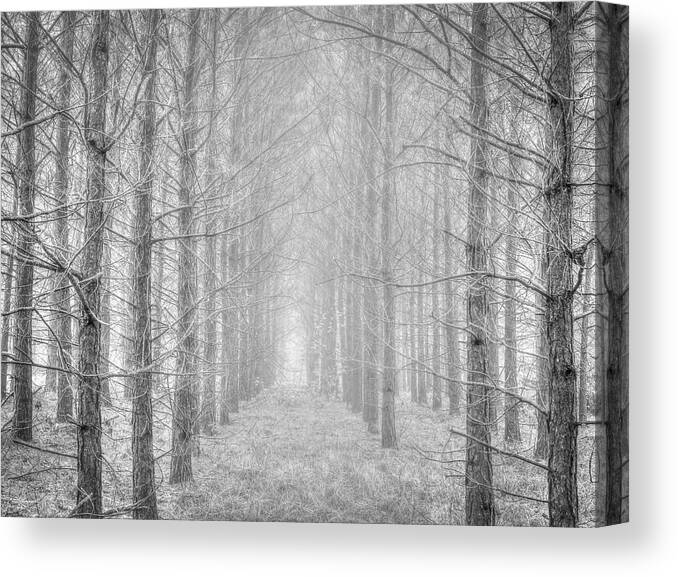 2017-12-17 Canvas Print featuring the photograph Winter by Phil And Karen Rispin