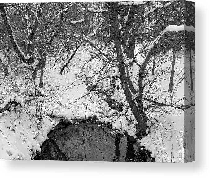 Winter Canvas Print featuring the photograph Winter's Touch by Scott Kingery