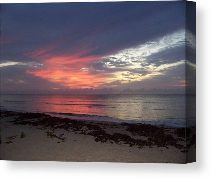 Sunrise Canvas Print featuring the photograph Wisdom by Sheila Silverstein