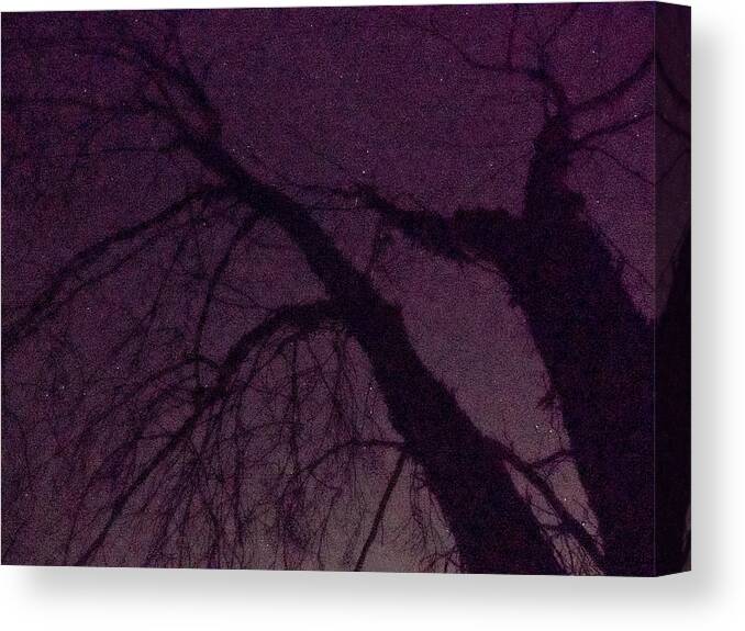 Halloween Canvas Print featuring the photograph Witch Tree by Derek Dean