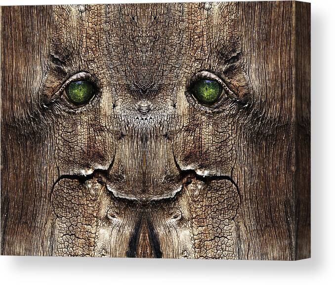 Wood Canvas Print featuring the digital art Woody 62 by Rick Mosher