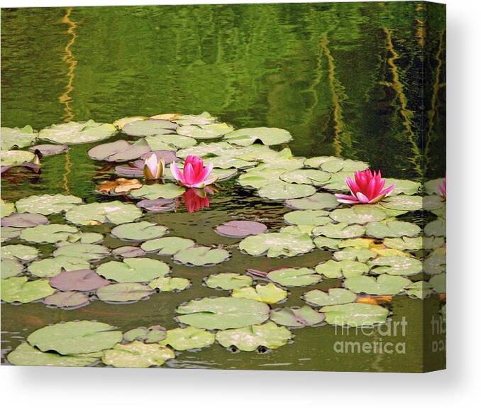 Lotus Canvas Print featuring the photograph Xian Color Show by Nieves Nitta