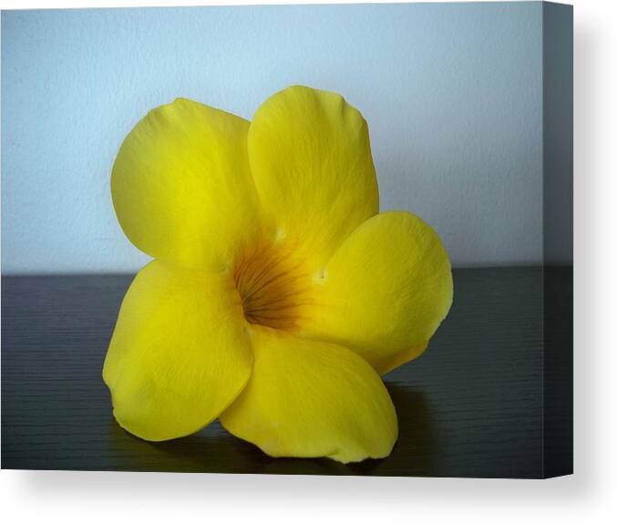 Flower Canvas Print featuring the photograph Yellow flower from Salinas by Nancy Graham