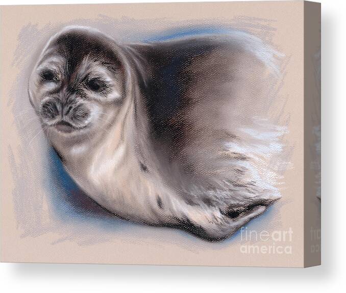 Animal Canvas Print featuring the pastel Young Seal by MM Anderson