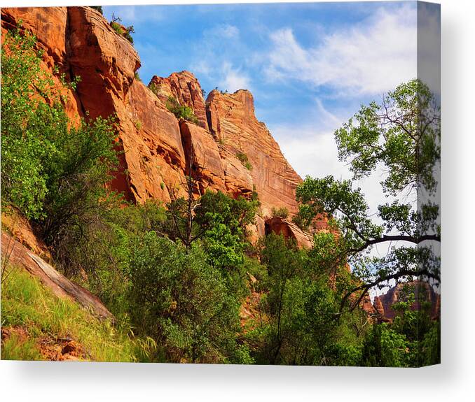 Blue Canvas Print featuring the photograph Zion National Park 1 by Penny Lisowski