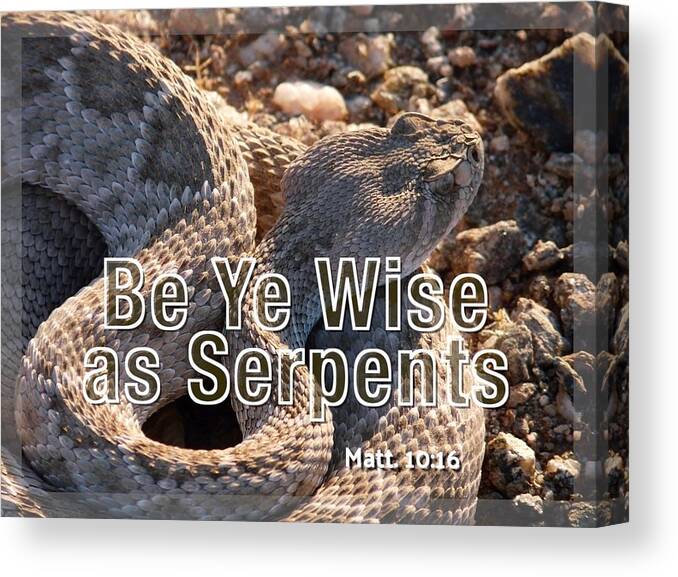 Adage Canvas Print featuring the photograph Be Ye Wise as Serpents by Judy Kennedy