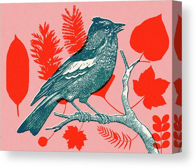 Animal Canvas Print featuring the drawing Bird Perched on a Branch #1 by CSA Images