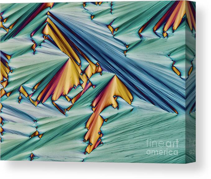 Polarized Light Microscopy Canvas Print featuring the photograph Crystallised Sodium Phenylbyturate #1 by Hakan Kvarnstrom / Science Photo Library