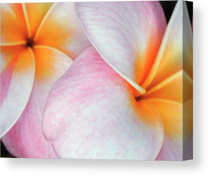 Flower Canvas Print featuring the photograph Flowers I #1 by Jim Christensen