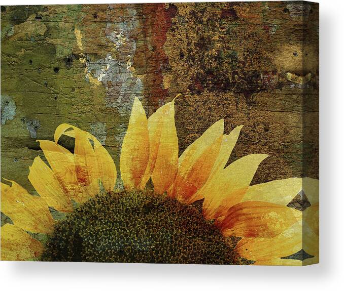 Sun Canvas Print featuring the photograph Imitating the Sun II #2 by Char Szabo-Perricelli