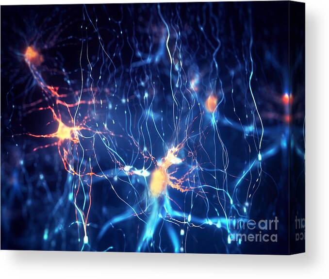 3d Canvas Print featuring the photograph Pyramidal Neurons #1 by Juan Gaertner/science Photo Library