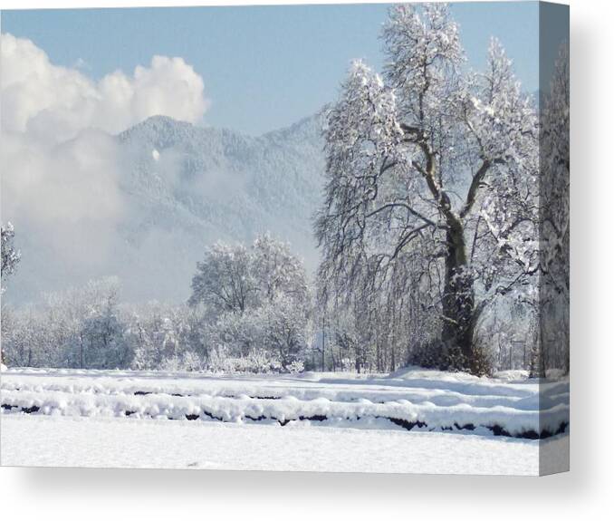  Canvas Print featuring the photograph The Snow Story #1 by Jacob