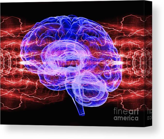 Artwork Canvas Print featuring the photograph Brain Activity #3 by Laguna Design/science Photo Library