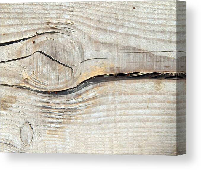 Wooden Canvas Print featuring the photograph Wooden texture composition of wood #3 by Oleg Prokopenko