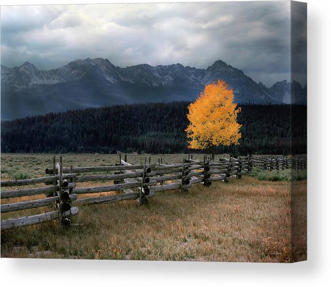 Idaho Scenics Canvas Print featuring the photograph Autumn Light #4 by Leland D Howard