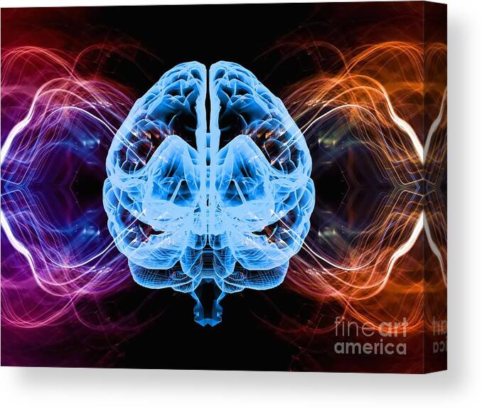 Artwork Canvas Print featuring the photograph Brain Activity #4 by Laguna Design/science Photo Library