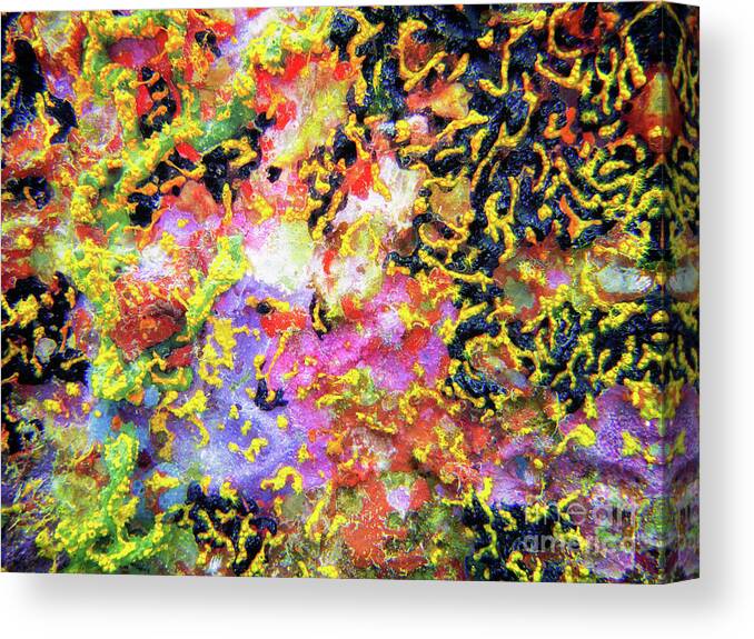 Coral Canvas Print featuring the photograph Abstract Under the Sea by Becqi Sherman