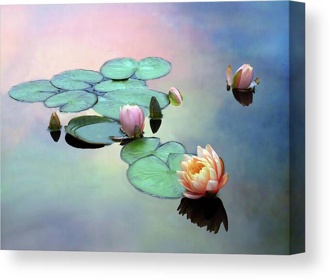 Lilies Canvas Print featuring the photograph Afloat by Jessica Jenney