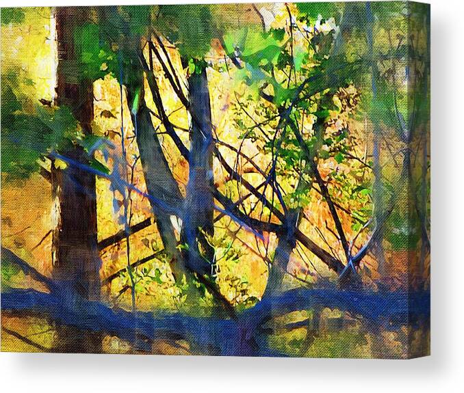 Trees Canvas Print featuring the mixed media Afternoon in the Woods by Christopher Reed