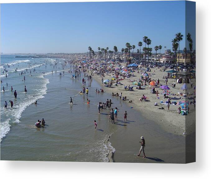 Scenics Canvas Print featuring the photograph All Busy Beach by Pastorscott