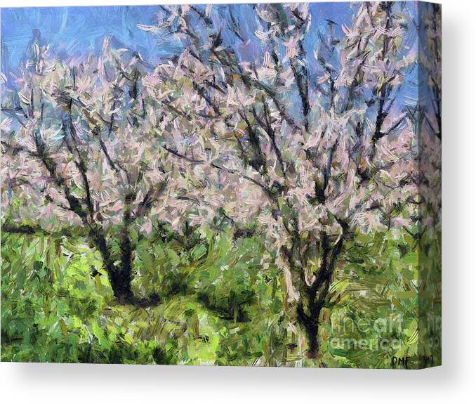 Spring Canvas Print featuring the painting Almond Orchard in Full Bloom by Dragica Micki Fortuna
