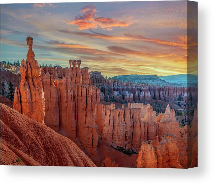 Amphitheater Canvas Print featuring the photograph Amphitheater From Sunset Point by Tim Fitzharris