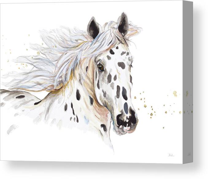 Appaloosa Canvas Print featuring the painting Appaloosa by Patricia Pinto