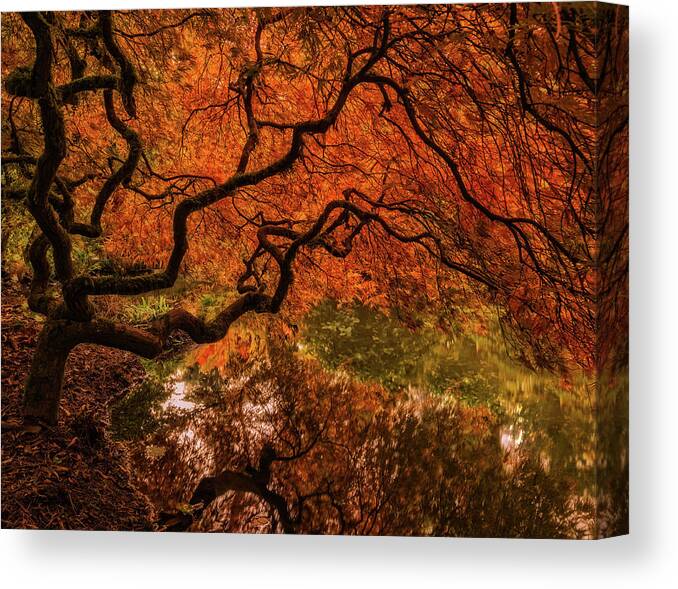 Autumn Canvas Print featuring the photograph Autumn Reflections by Judi Kubes