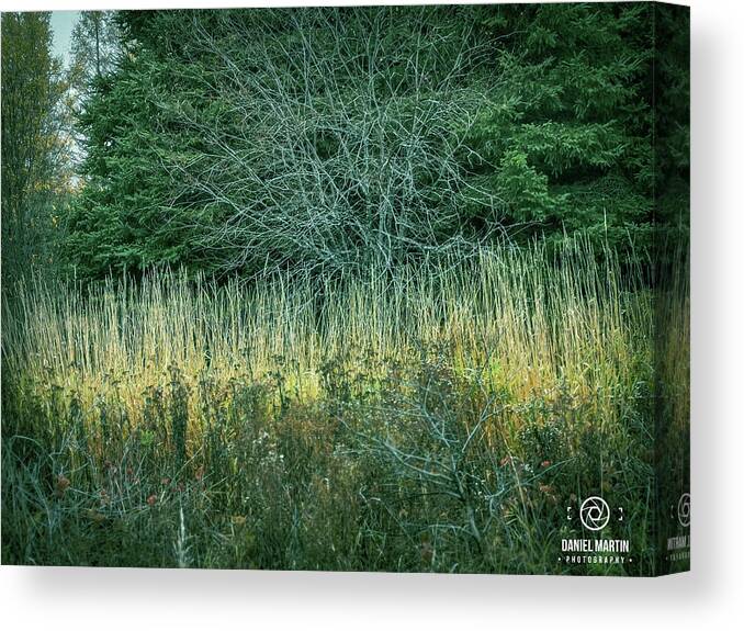 Leafless Canvas Print featuring the photograph Autumn Scenery-2 by Daniel Martin