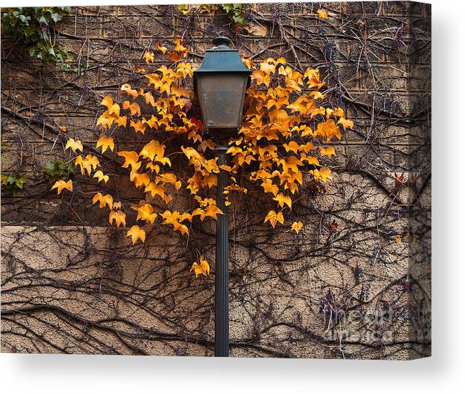 Vibrant Color Canvas Print featuring the photograph Autumn Street Lamp Paris Montmartre by Artens