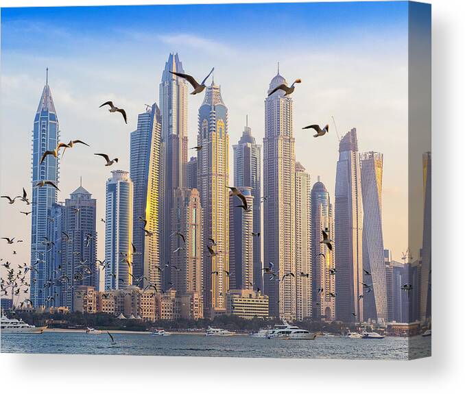 Dubai Canvas Print featuring the photograph Birds View by Liza Simonsson