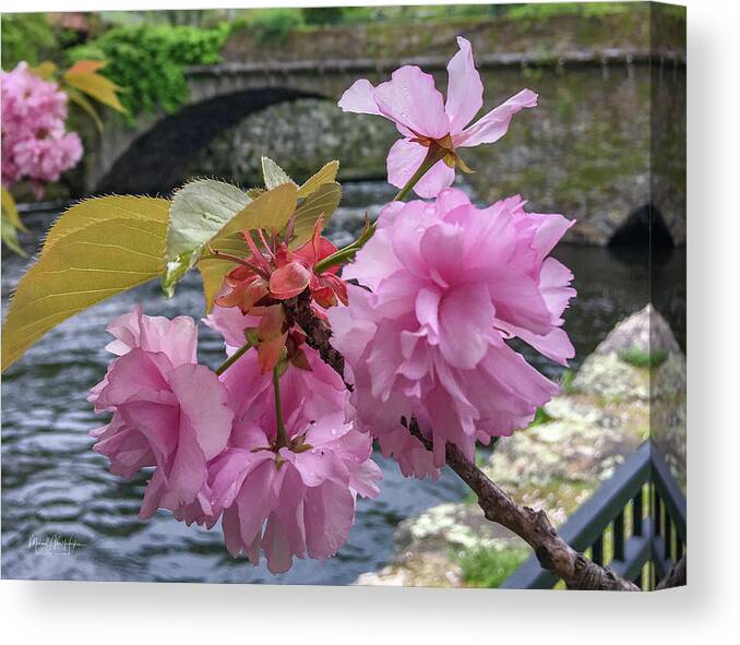 Willimantic Canvas Print featuring the photograph Beautiful Blossom by Veterans Aerial Media LLC