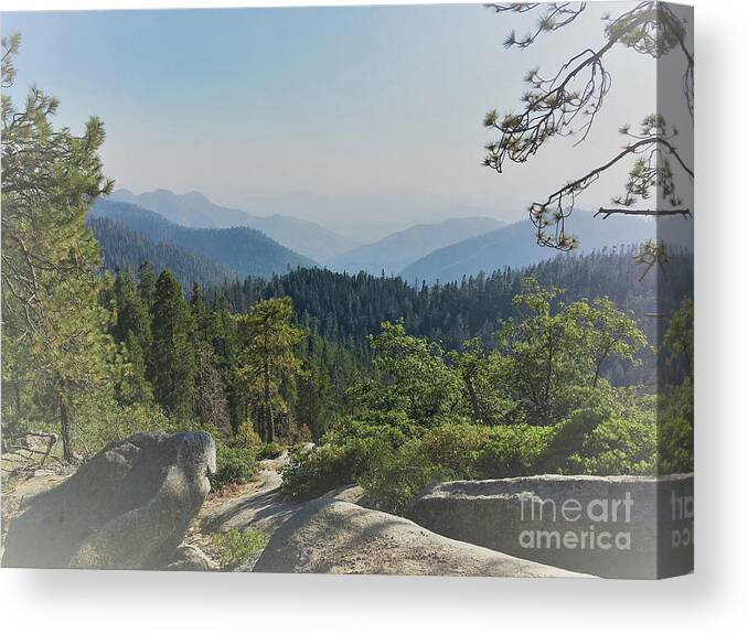 Forest Canvas Print featuring the photograph Blue Valley by Leslie M Browning