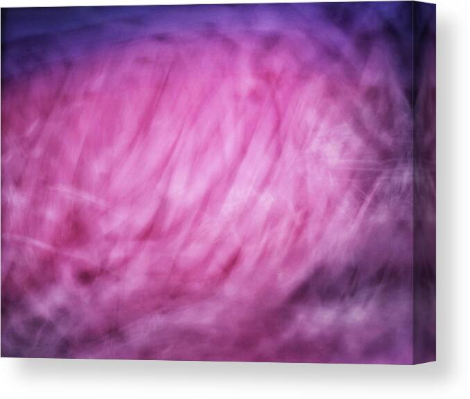 Abstract Canvas Print featuring the photograph Blurred swirled shapes of pinks, and purples abstract art by Teri Virbickis