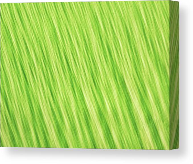 Abstract Canvas Print featuring the photograph Bright chartreuse green blurred diagonal lines abstract by Teri Virbickis