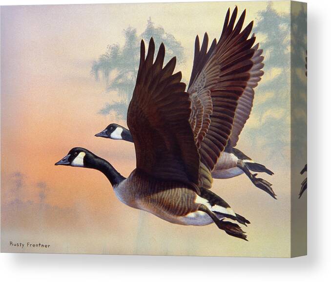 Two Canada Geese Flying At Sunset Or Sunrise Canvas Print featuring the painting Canada Geese by Rusty Frentner