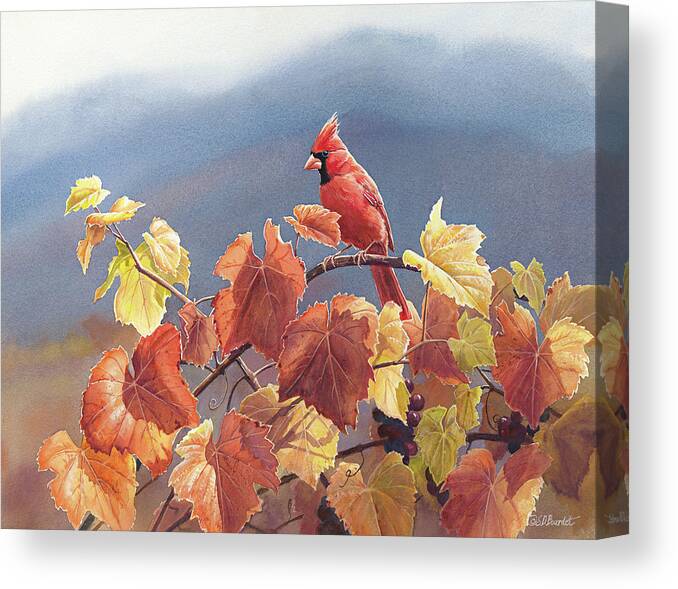 Robin Canvas Print featuring the painting Cardinal And Fall Grapes by Wild Wings