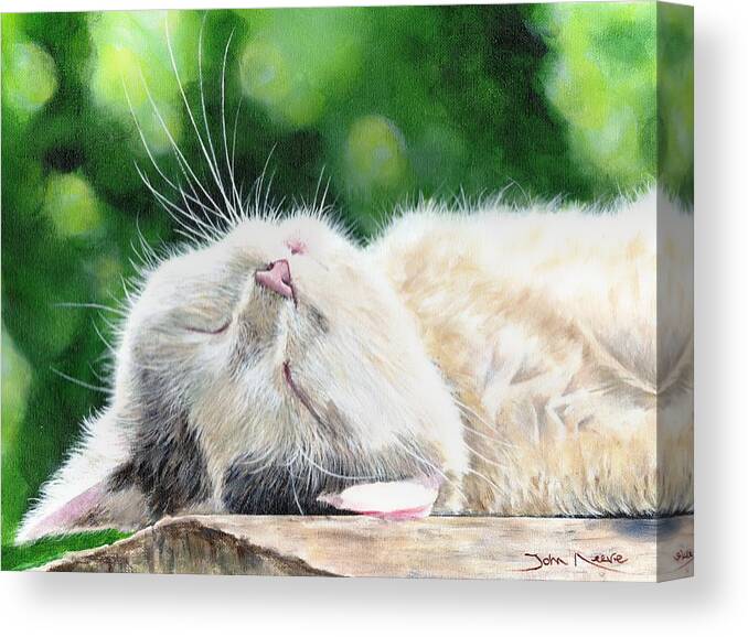 Cat Canvas Print featuring the painting Catnap by John Neeve