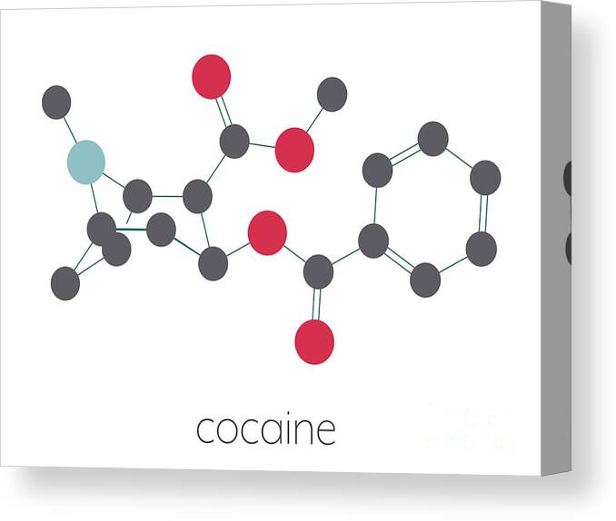 Cocaine Canvas Print featuring the photograph Cocaine Stimulant Drug Molecule by Molekuul/science Photo Library