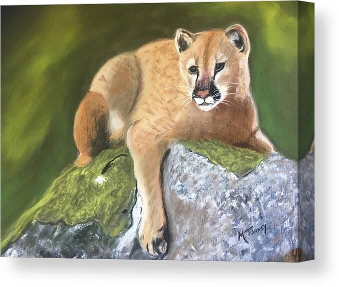 Mountain Lion Canvas Print featuring the pastel Confidence by Michele Turney