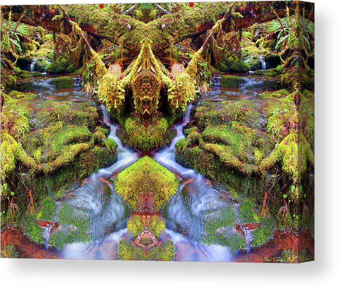Nature Canvas Print featuring the photograph Creek Magic #2 by Ben Upham III