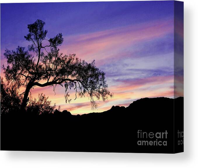 Desert Canvas Print featuring the photograph Desert Tree at Twilight by Beth Myer Photography