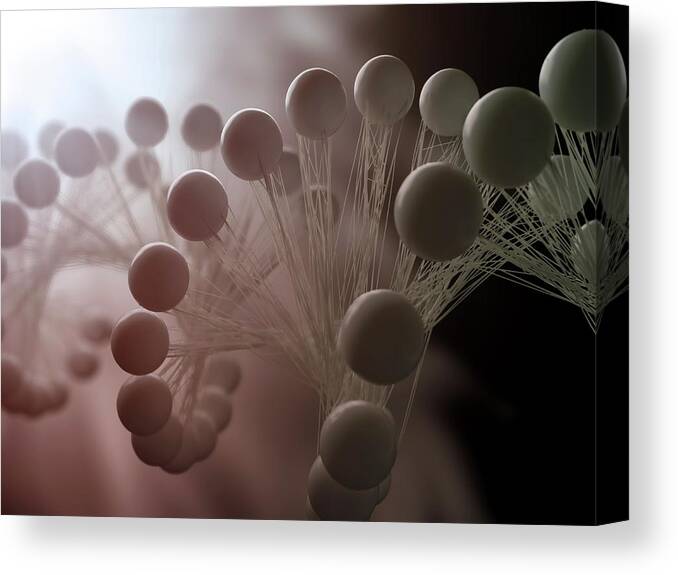 Built Structure Canvas Print featuring the digital art Dna Molecule, Artwork by Science Photo Library - Andrzej Wojcicki