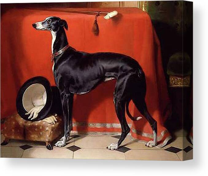 Grooming Canvas Print featuring the mixed media Dog - Favorite Greyhound by Edwin Landseer
