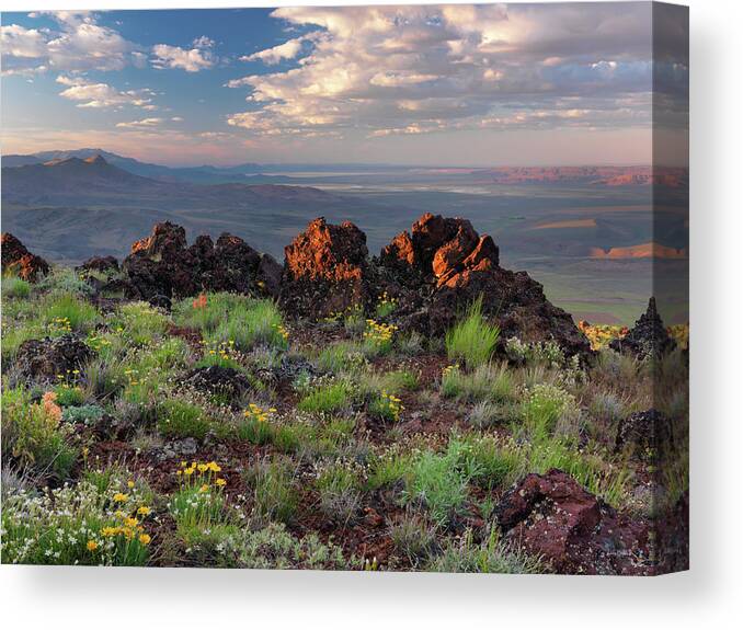 Nature Canvas Print featuring the photograph Domingo Pass by Leland D Howard
