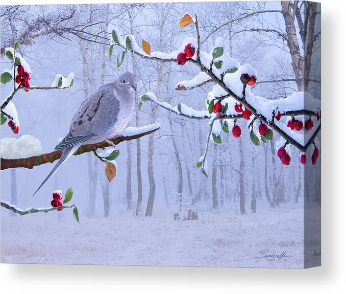 Dove Canvas Print featuring the digital art Dove by M Spadecaller