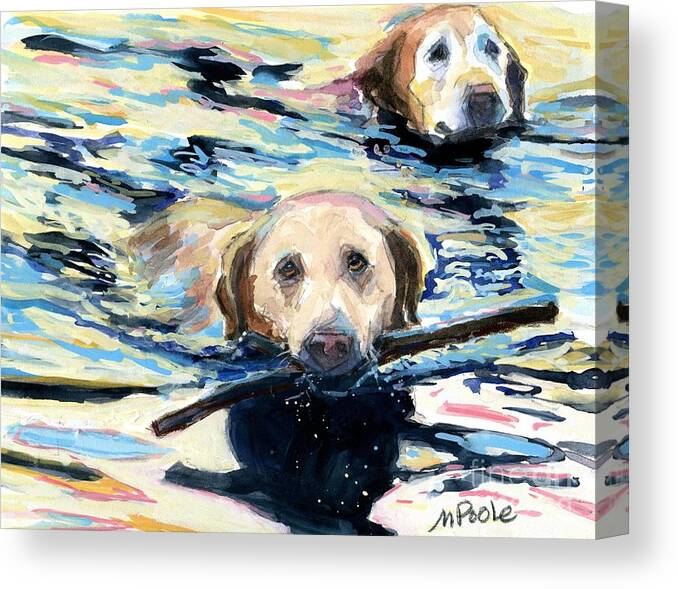 Dogs Swimming Canvas Print featuring the photograph Evening Paddle by Molly Poole