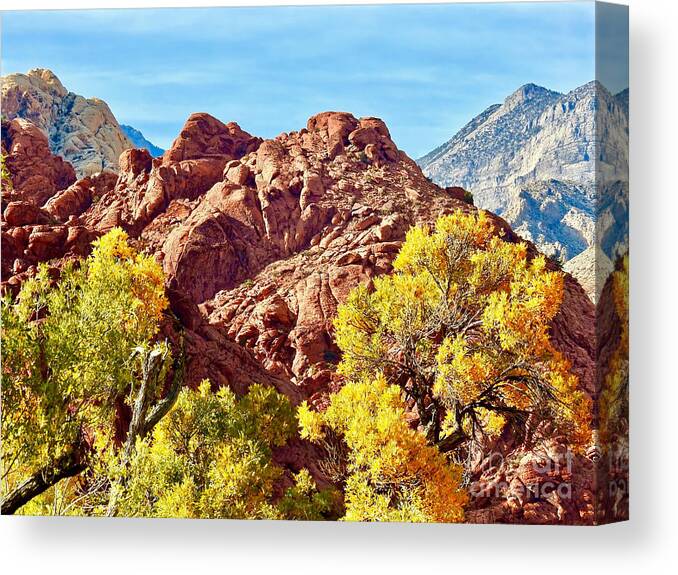 Foliage Canvas Print featuring the photograph Fall Meets Desert by Beth Myer Photography