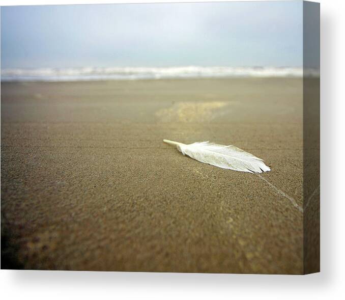 Water's Edge Canvas Print featuring the photograph Feather Beach Clouds by Andrew Morrell Photography