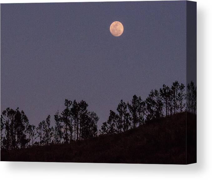 Sunset Canvas Print featuring the photograph Full Moon Over Fiji by Leslie Struxness